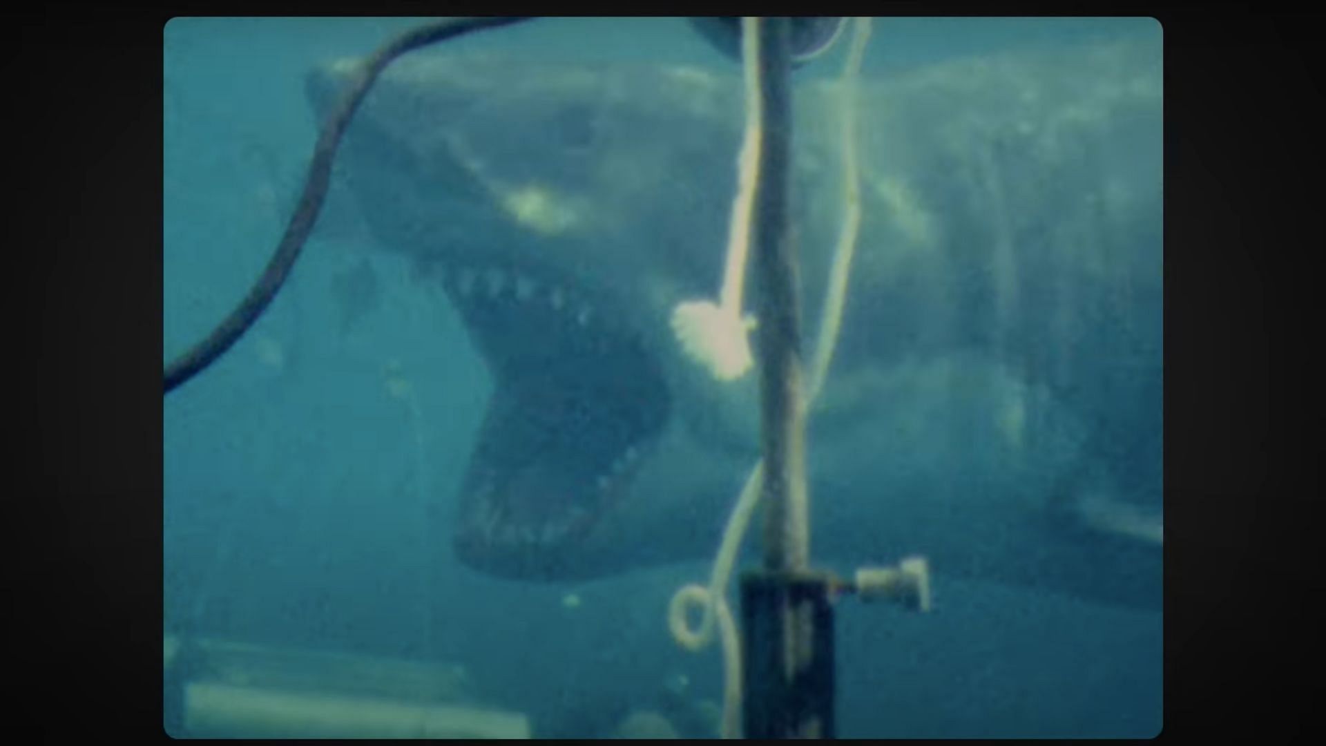 Spielberg used an editor's swimming pool (Image via YouTube/National Geographic)